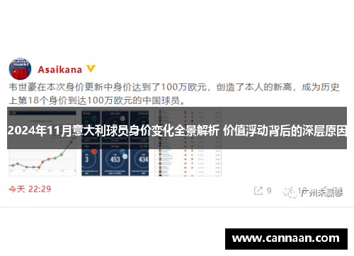 2024年11月意大利球员身价变化全景解析 价值浮动背后的深层原因