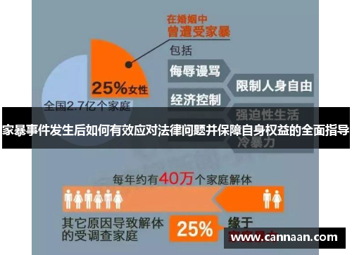 家暴事件发生后如何有效应对法律问题并保障自身权益的全面指导