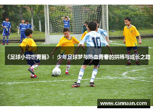 《足球小将世青篇》：少年足球梦与热血青春的拼搏与成长之路