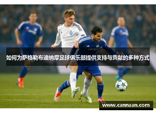 如何为萨格勒布迪纳摩足球俱乐部提供支持与贡献的多种方式