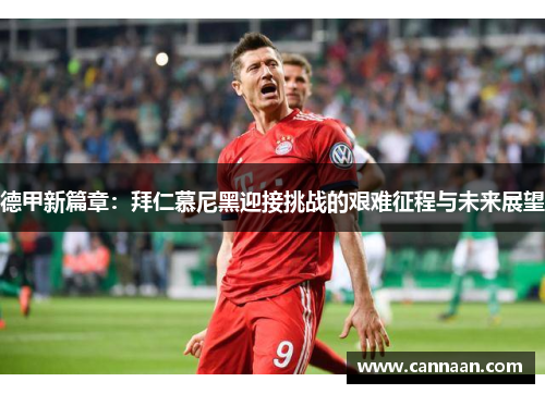 德甲新篇章：拜仁慕尼黑迎接挑战的艰难征程与未来展望