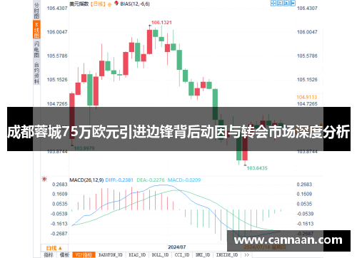 成都蓉城75万欧元引进边锋背后动因与转会市场深度分析
